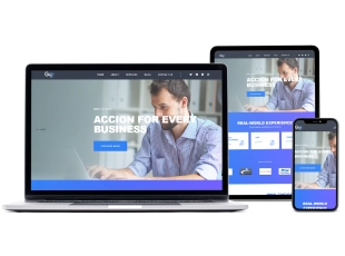 Elite Web Pro image