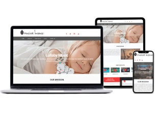 Elite Web Pro image