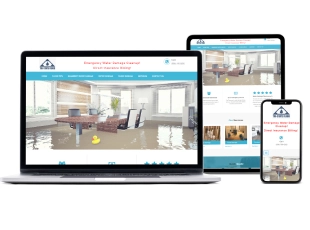 Elite Web Pro image