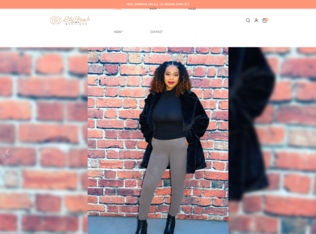 Elite Web Pro image